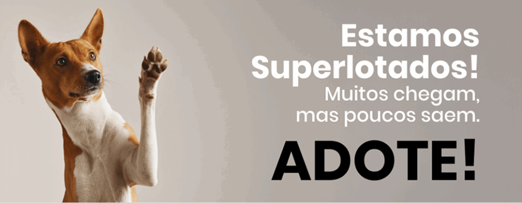 Banner Adote. Estamos superlotados
